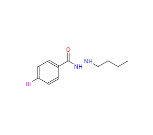 CAS：537672-41-6，4-溴-N'-丁基苯甲酰肼 